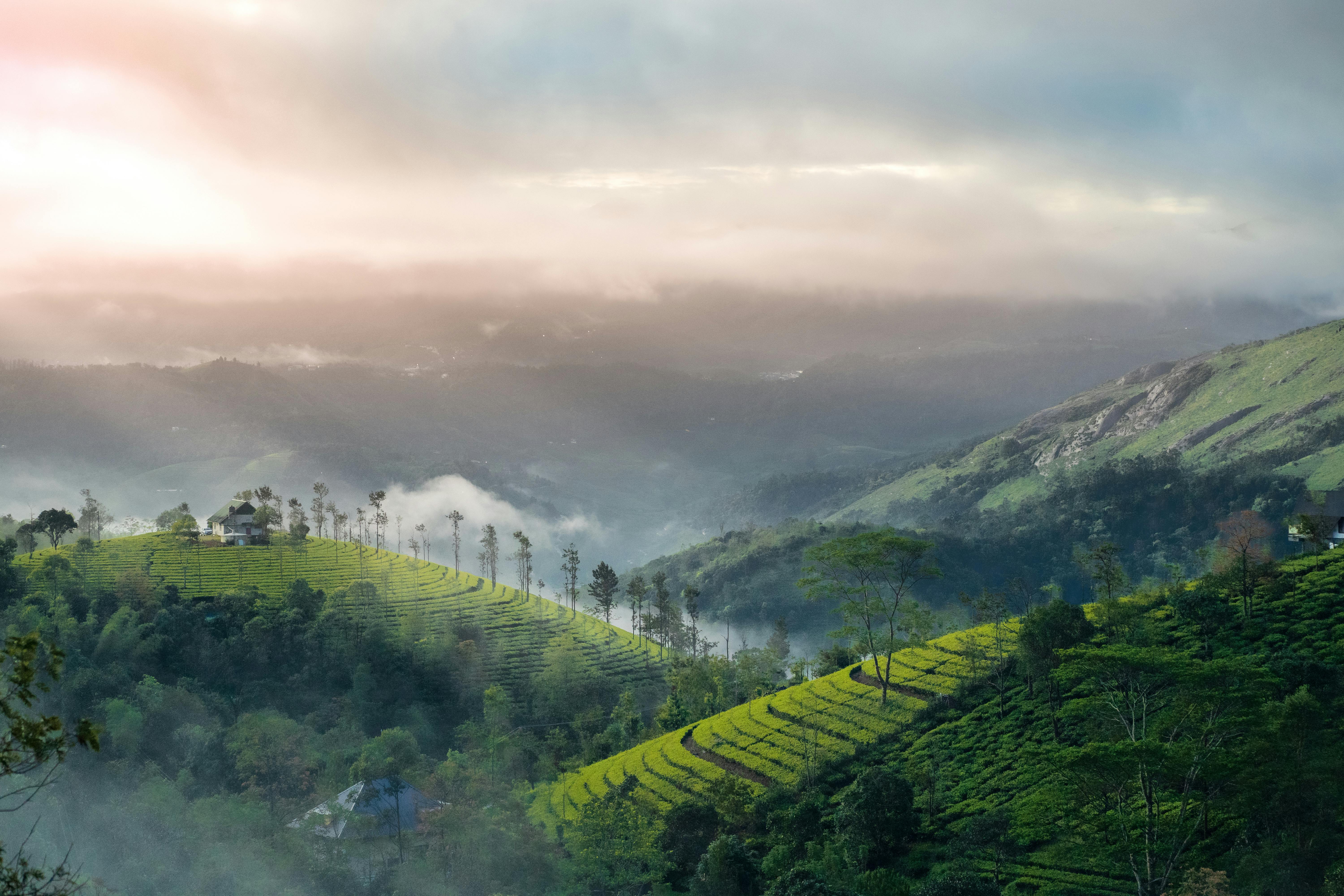 Coorg