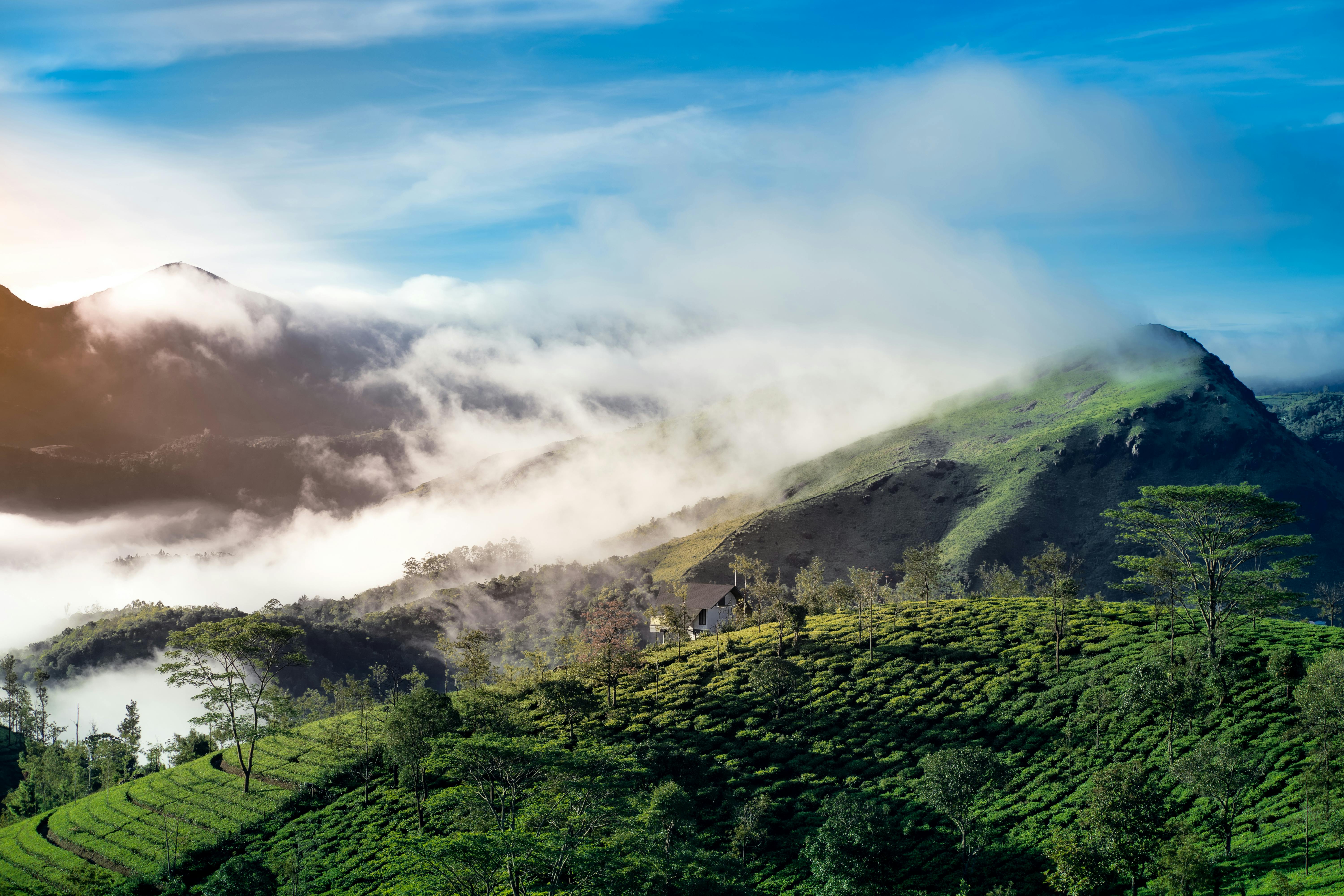 Ooty Sightseeing