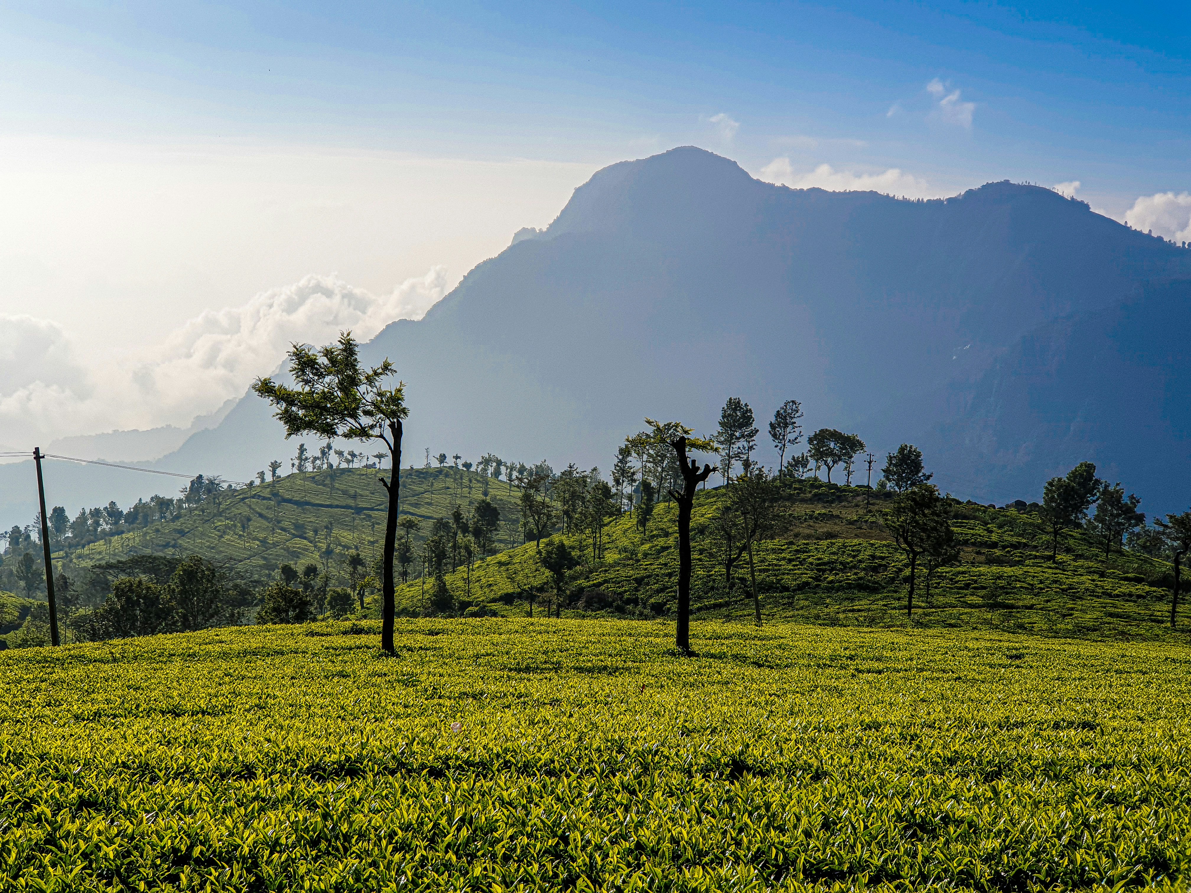 Ooty Sightseeing